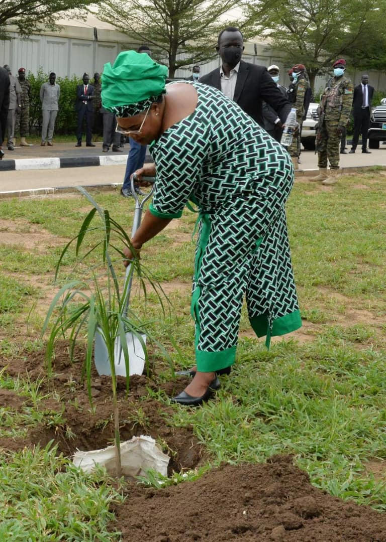 8995cd889ddd46c79eb3759396368d4cf9f4bd91