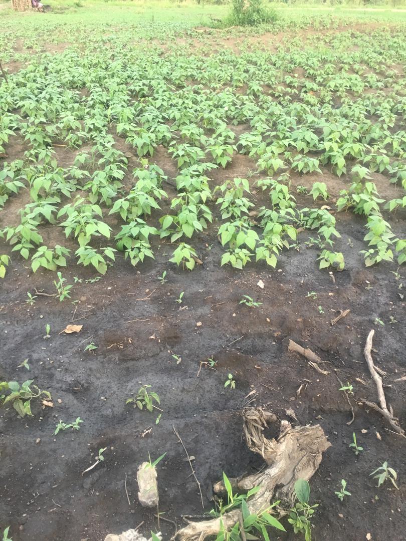 WhatsApp Image 2025-10-22 at 18.05.55_9b9137d1