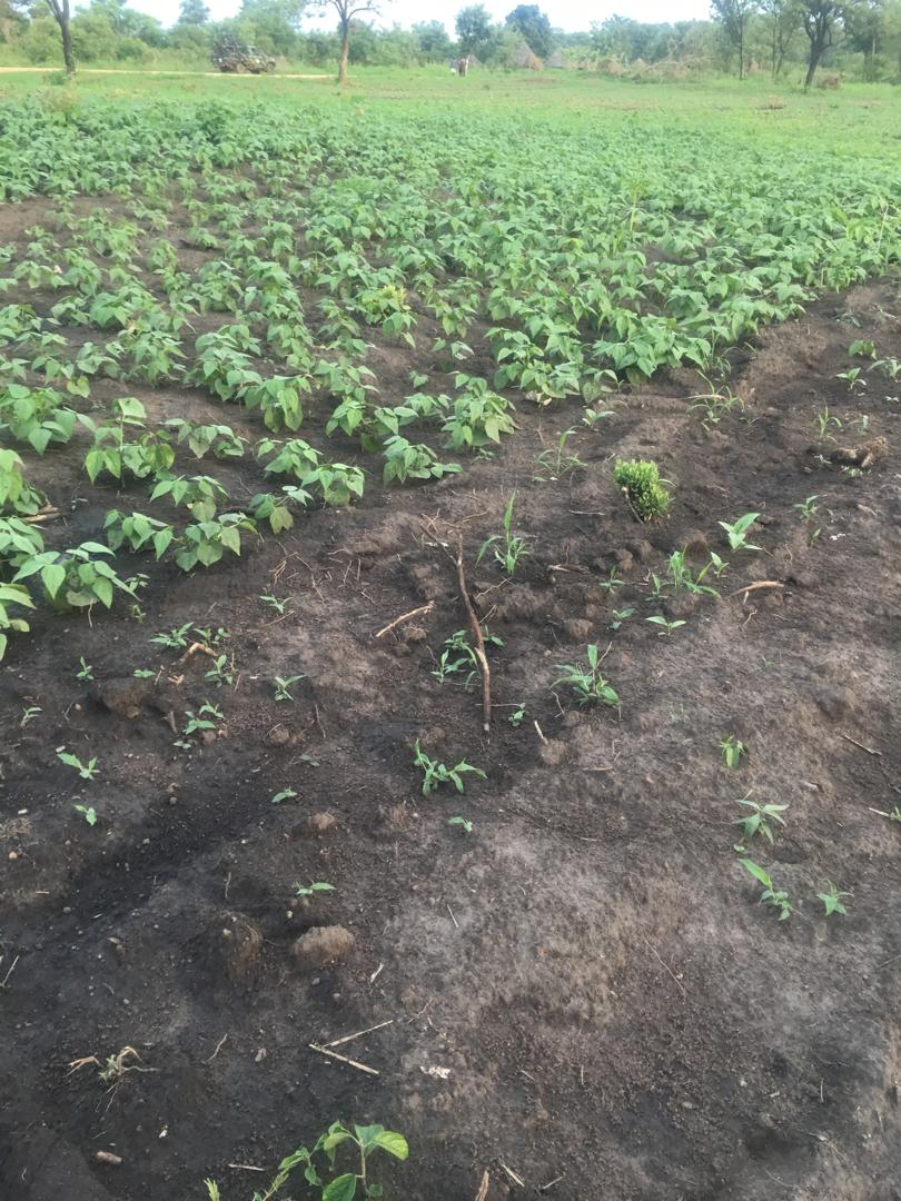 WhatsApp Image 2025-10-22 at 18.06.11_cc41c989