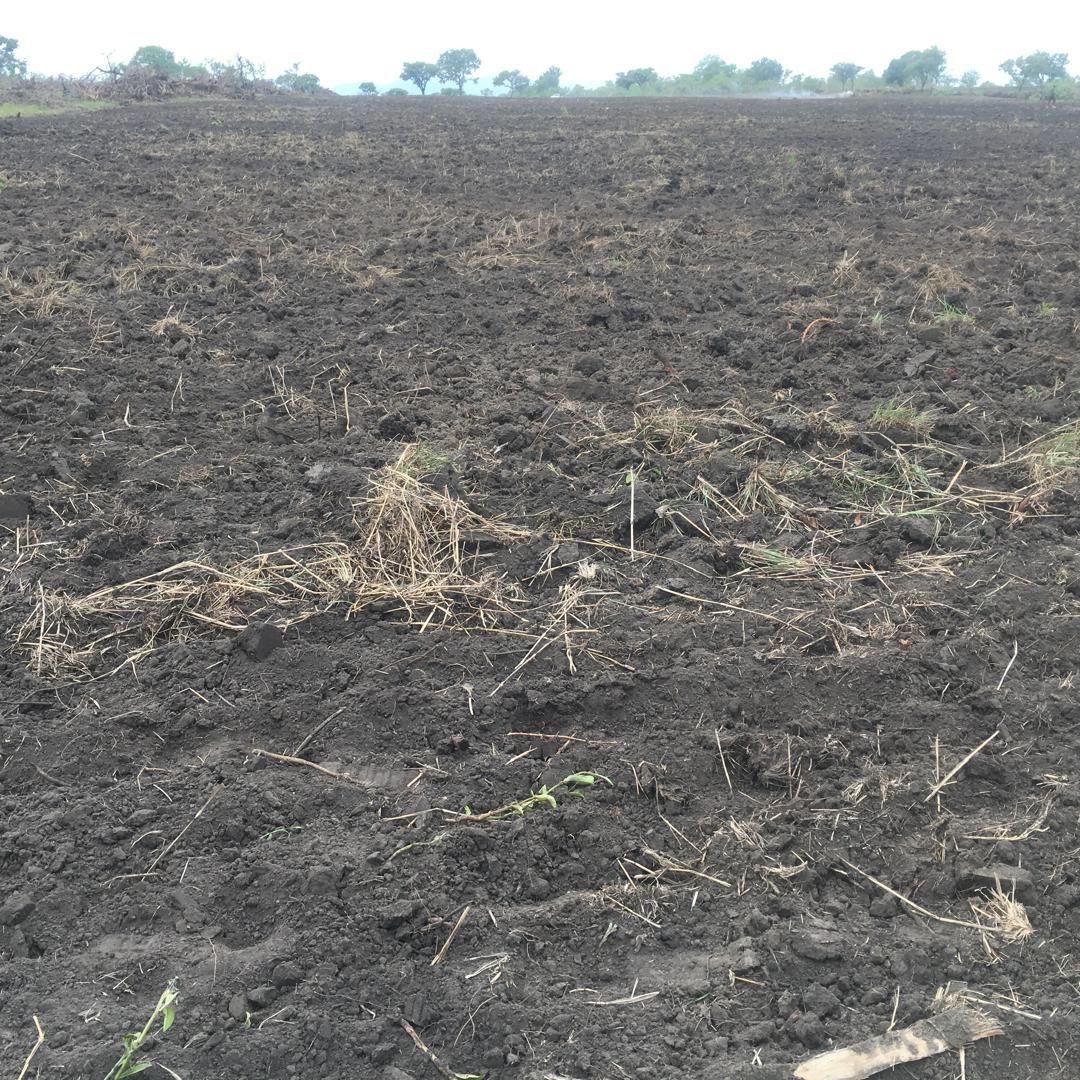 WhatsApp Image 2025-10-22 at 18.07.21_5cc48f29